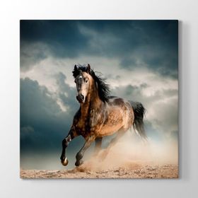 Tabloshop Çöldeki At 70x70 cm Tablo
