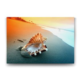 Tabloshop Deniz Kabuğu 125x80 cm Tablo