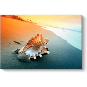 Tabloshop Deniz Kabuğu 125x80 cm Tablo