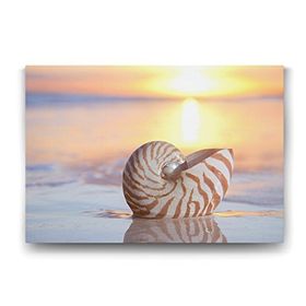 Tabloshop Deniz Kıyısında Deniz Kabuğu 60x40 cm Tablo