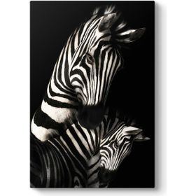 Tabloshop Desenli Zebra 40x60 cm Tablo