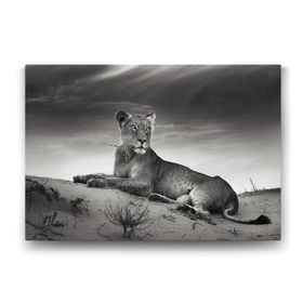 Tabloshop Dişi Aslan 90x60 cm Tablo