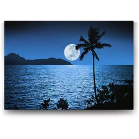 Tabloshop Dolunay Ay Işığı 140x100 cm Tablo