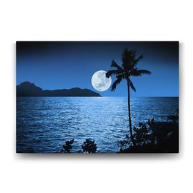 Tabloshop Dolunay Ay Işığı 140x100 cm Tablo