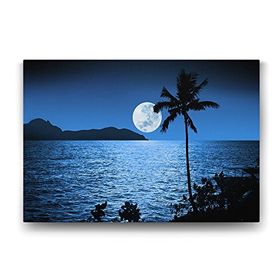 Tabloshop Dolunay Ay Işığı 140x100 cm Tablo