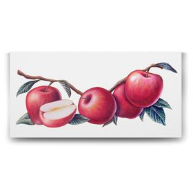 Tabloshop Elma Çizim 140x70 cm Tablo