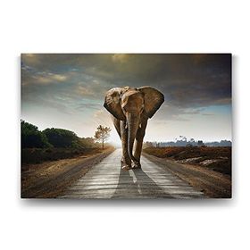 Tabloshop Fil 90x60 cm Tablo