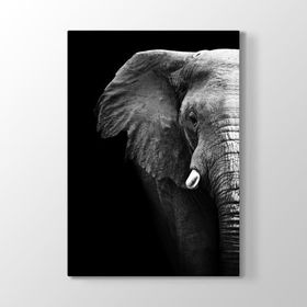 Tabloshop Fil Dişi 40x60 cm Tablo