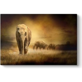 Tabloshop Fil Göç 100x70 cm Tablo