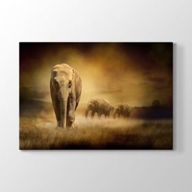 Tabloshop Fil Göç 125x80 cm Tablo