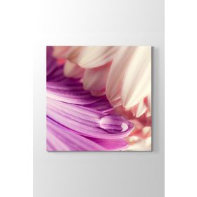 Tabloshop FL-457 Yaprak Üstünde Su Damlası 60x60 cm Kanvas Tablo