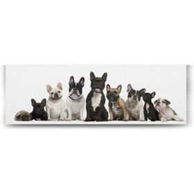 Tabloshop Fransız Bulldog Ailesi 120x40 cm Tablo