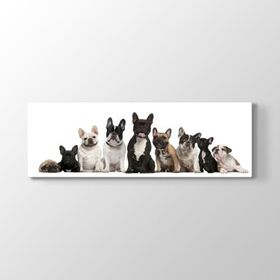 Tabloshop Fransız Bulldog Ailesi 210x70 cm Tablo