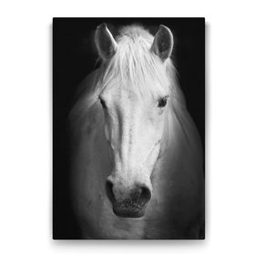 Tabloshop Ganyan At 50x75 cm Tablo