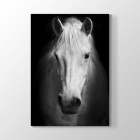 Tabloshop Ganyan At 70x100 cm Tablo