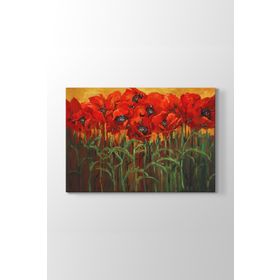 Tabloshop Gelincik Çiçeği Tarlası 60x40 cm Tablo