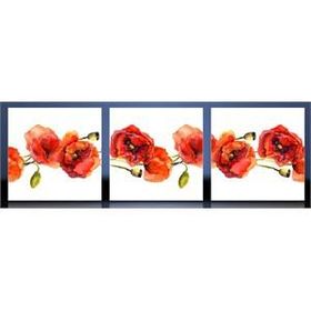 Tabloshop Gelincikler Kanvas Tablo