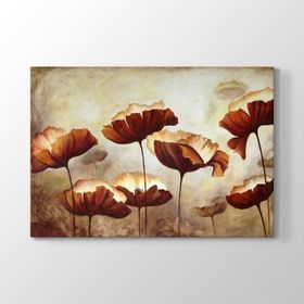 Tabloshop Gelincikler Kanvas Tablo