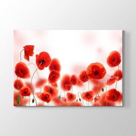 Tabloshop Gelincikler Kanvas Tablo