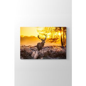 Tabloshop Geyik 125x80 cm Tablo