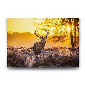 Tabloshop Geyik 125x80 cm Tablo