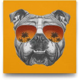 Tabloshop İngiliz Bulldog 60x60cm Tablosu