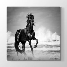 Tabloshop İskenderin Atı 60x60cm Tablosu