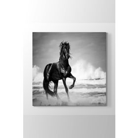 Tabloshop İskenderin Atı 60x60cm Tablosu