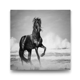 Tabloshop İskenderin Atı 60x60cm Tablosu
