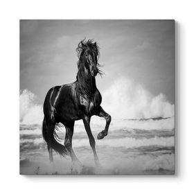 Tabloshop İskenderin Atı 60x60cm Tablosu