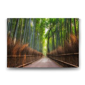 Tabloshop Japonya Bambu Tarlası 60x40 cm Tablo