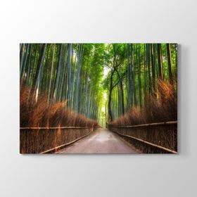 Tabloshop Japonya Bambu Tarlası 60x40 cm Tablo