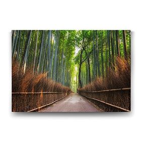 Tabloshop Japonya Bambu Tarlası 60x40 cm Tablo