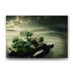 Tabloshop Kağlumbağa Dünyası 45x30 cm Tablo