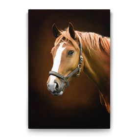 Tabloshop Kahverengi At Profil 50x75 cm Tablo