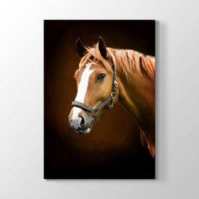 Tabloshop Kahverengi At Profil 50x75 cm Tablo