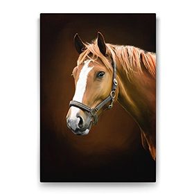 Tabloshop Kahverengi At Profil 50x75 cm Tablo