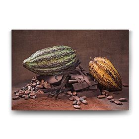 Tabloshop Kakao Çekirdeği 45x30 cm Tablo
