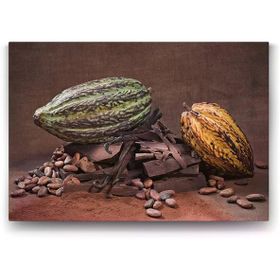 Tabloshop Kakao Çekirdeği 90x60 cm Tablo