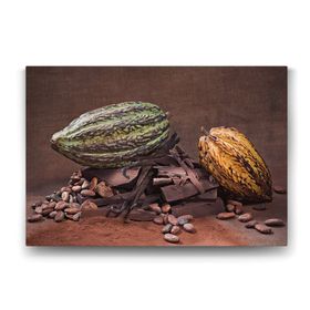 Tabloshop Kakao Çekirdeği 90x60 cm Tablo