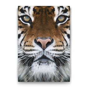Tabloshop Kaplan Yüzü 100x140 cm Tablo