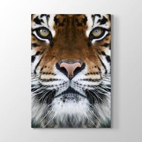 Tabloshop Kaplan Yüzü 40x60 cm Tablo