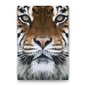 Tabloshop Kaplan Yüzü 70x100 cm Tablo