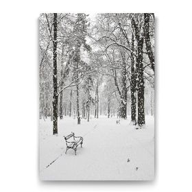Tabloshop Kar Yağışı Manzara 60x90 cm Tablo