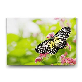 Tabloshop Kelebek 90x60 cm Tablo