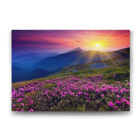 Tabloshop Kır Çiçekleri 100x70 cm Tablo