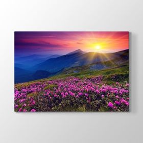 Tabloshop Kır Çiçekleri 100x70 cm Tablo
