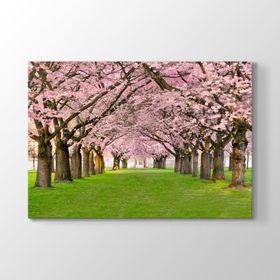 Tabloshop Kiraz Çiçeği 140x100 cm Tablo