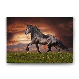 Tabloshop Kırda Siyah At 140x100 cm Tablo