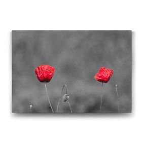 Tabloshop Kırmızı Gelincik 75x50 cm Tablo